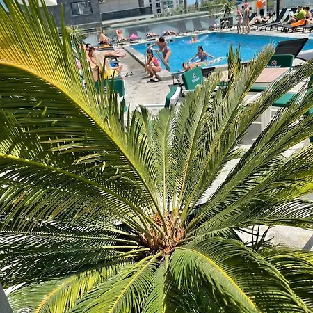 Studiouri Nord 10 - Endless Summer Mamaia Nord * Năvodari